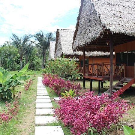 Cumaceba Curaka Inn San Pedro  ภายนอก รูปภาพ
